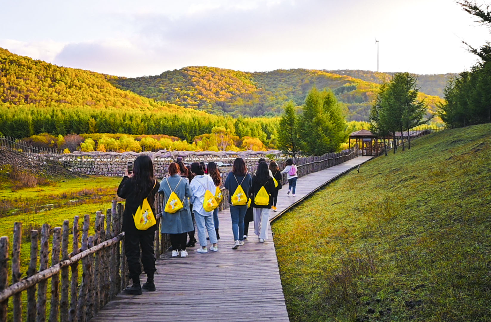 丰宁神仙谷七彩森林景区地图,丰宁坝上七彩森林游玩攻略