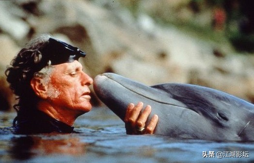 最震撼的海豚湾纪录片,海豚湾纪录片免费完整版在线