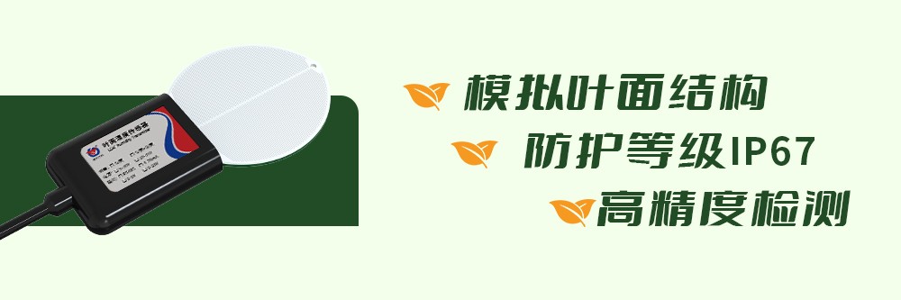 叶面温度传感器的原理,叶面温湿度传感器