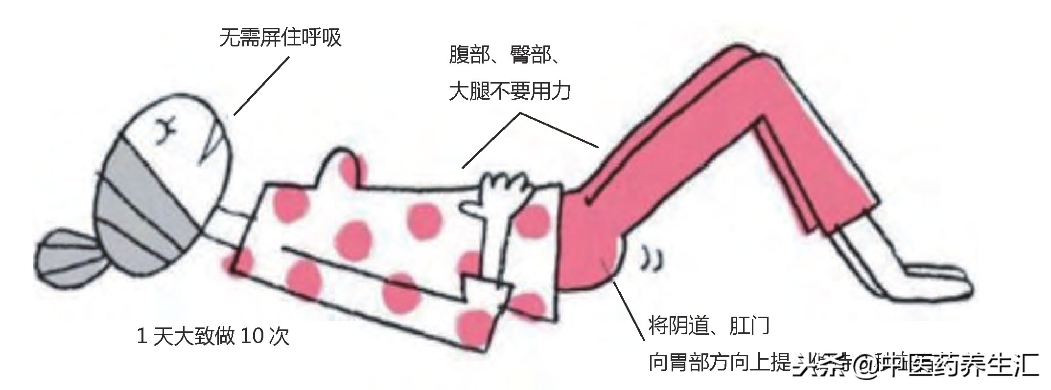 关注女性盆底功能障碍——盆底肌的锻炼