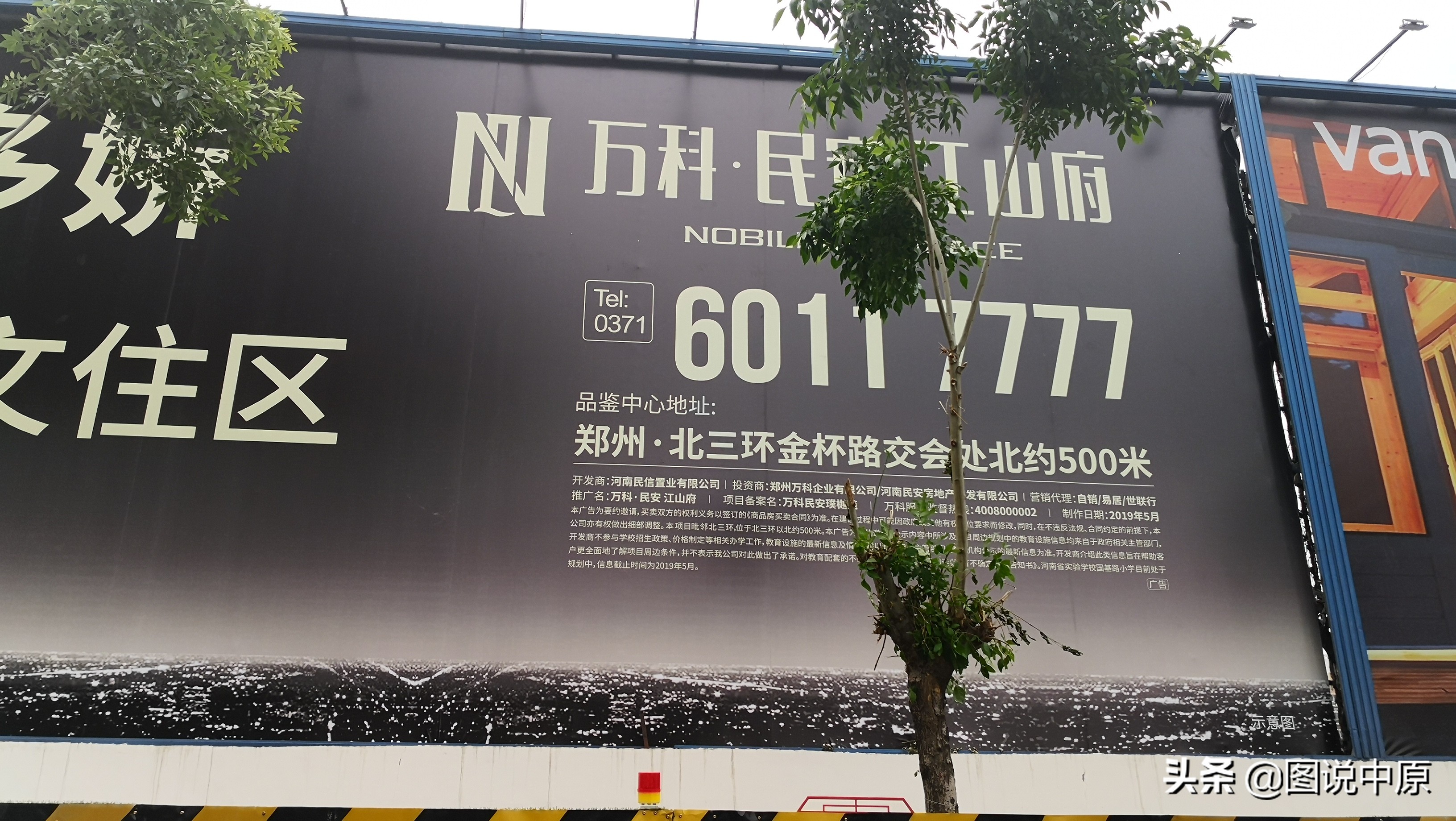 郑州26棵行道树被剃光,郑州通报行道树毁坏事件