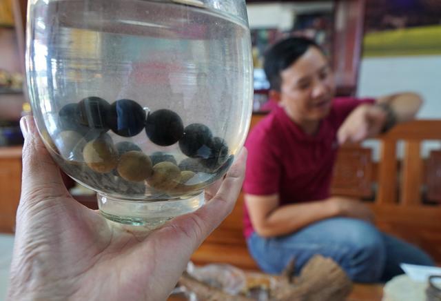 越南芽庄沉香与海南沉香的区别,越南沉香实地考察