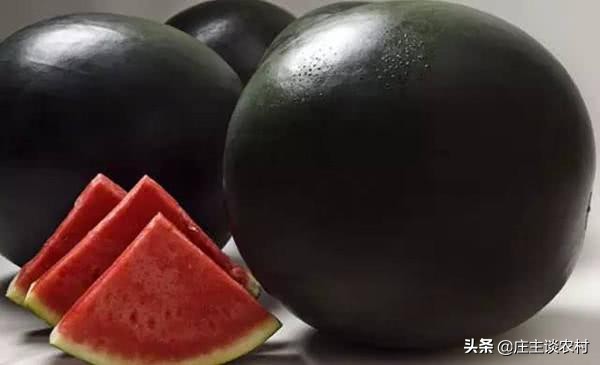 世界上最贵的几种食材有哪些,世界上最贵最顶级的食材