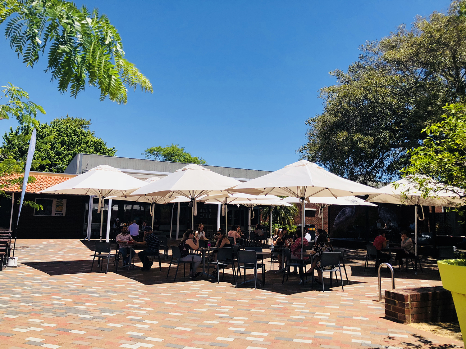 澳洲会计专业怎么学好,澳大利亚留学会计专业就业方向