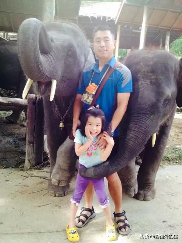 泰北玫瑰的英文,泰北玫瑰图片