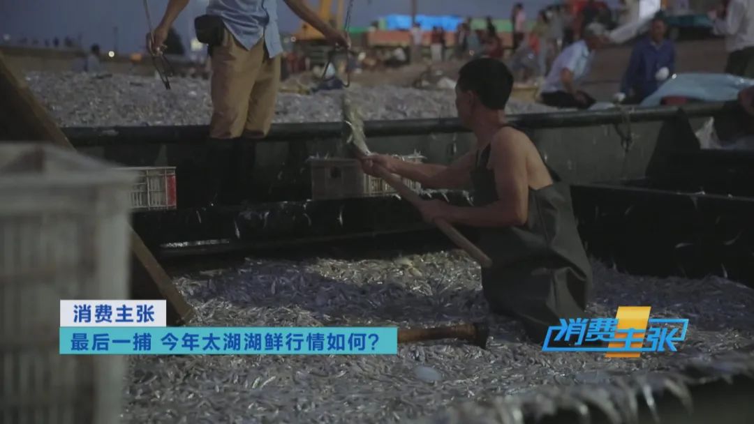 直击太湖开湖现场！鲜美湖鲜大量上市，资深吃货准备好了吗？