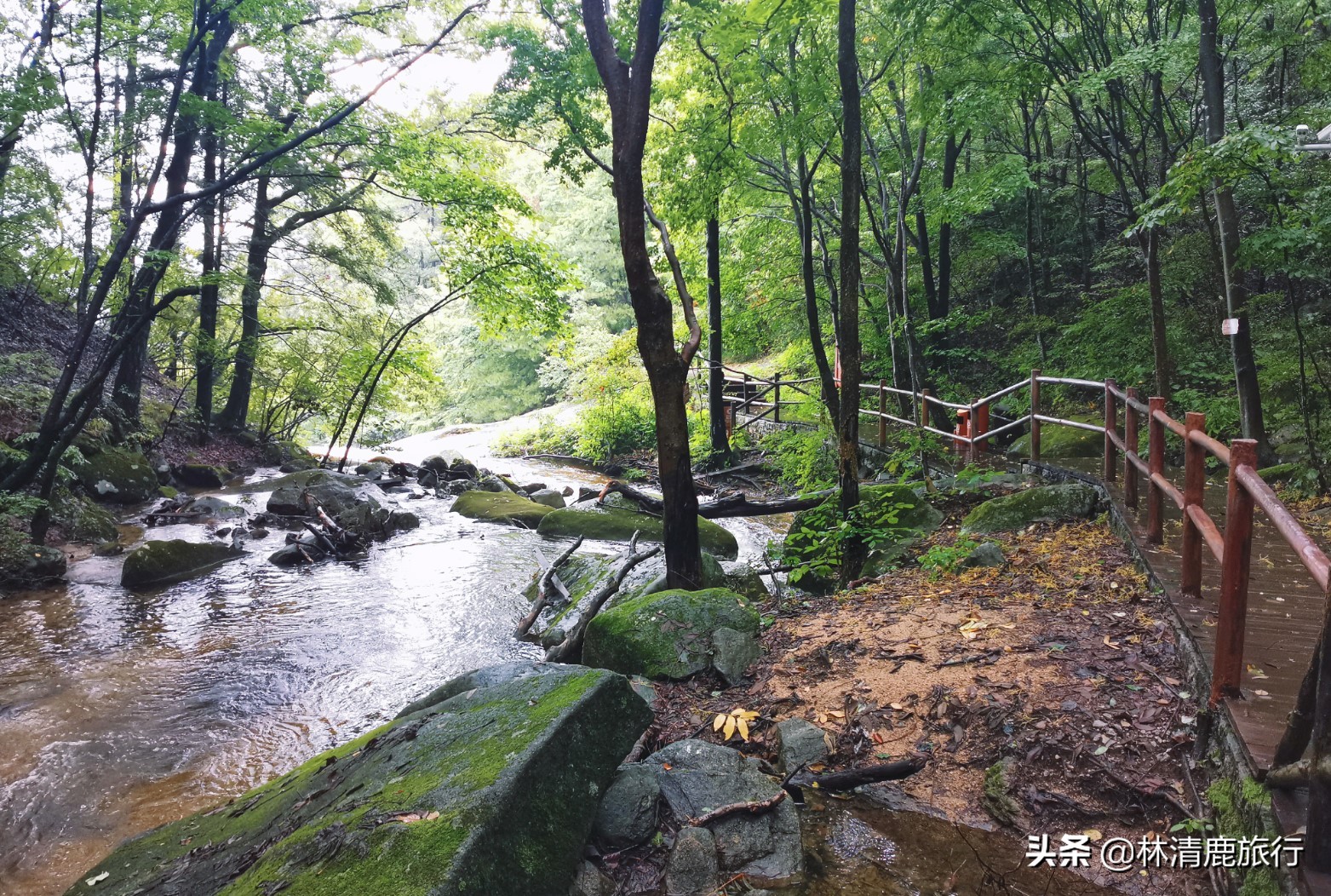 河南避暑的好地方有哪些,避暑胜地河南太极峡