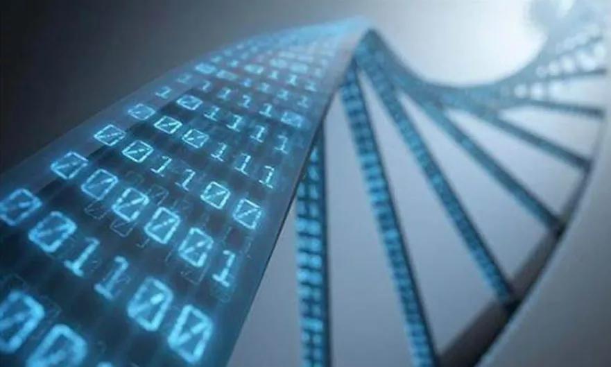 nas十大必买神器体验,nas到底是什么