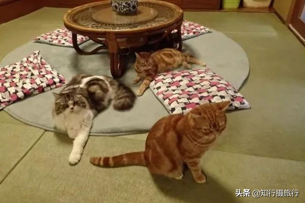 大阪小众景点,去大阪注意事项