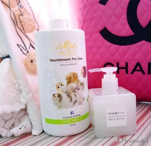 李佳琦叫卖都不管用！双十一猫咪用品这些坑得避