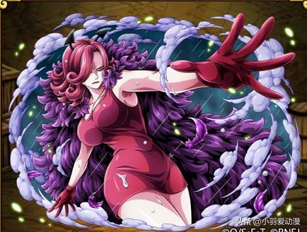 海贼王大妈篇布琳最后干了什么,海贼王大妈的39个女儿