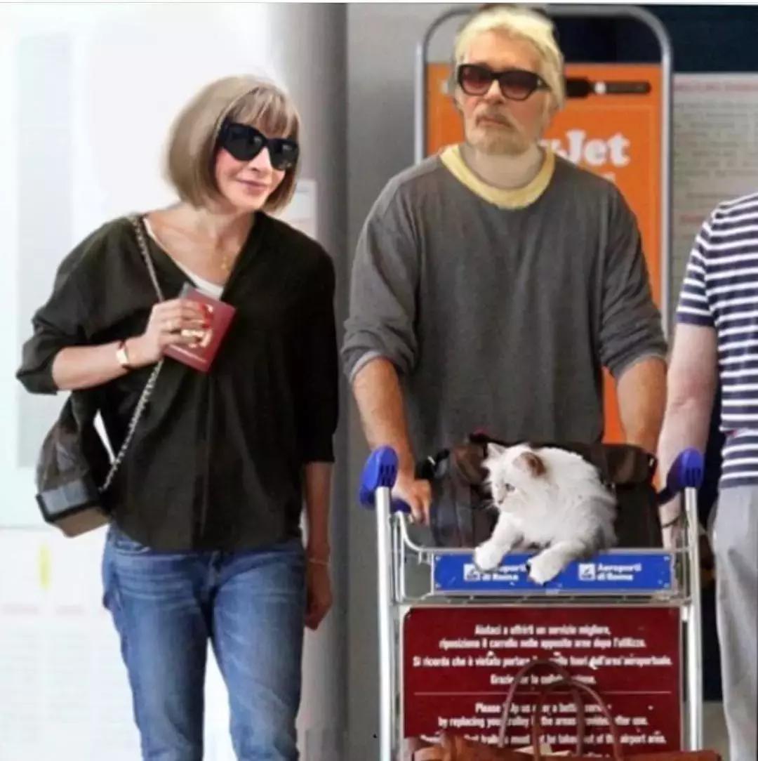 老佛爷去世，他那只年挣300万欧元的猫将继承他的遗产？！