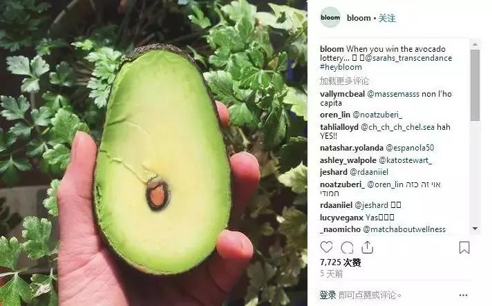 谁劝中国人买了3万吨牛油果？