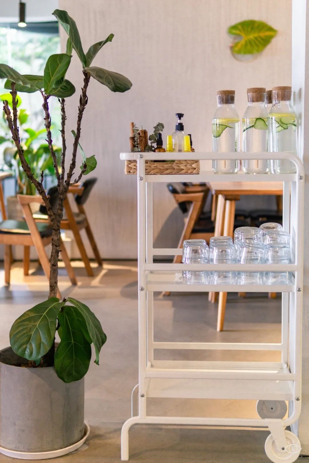 深圳香蜜湖别墅咖啡,深圳景观好的咖啡厅