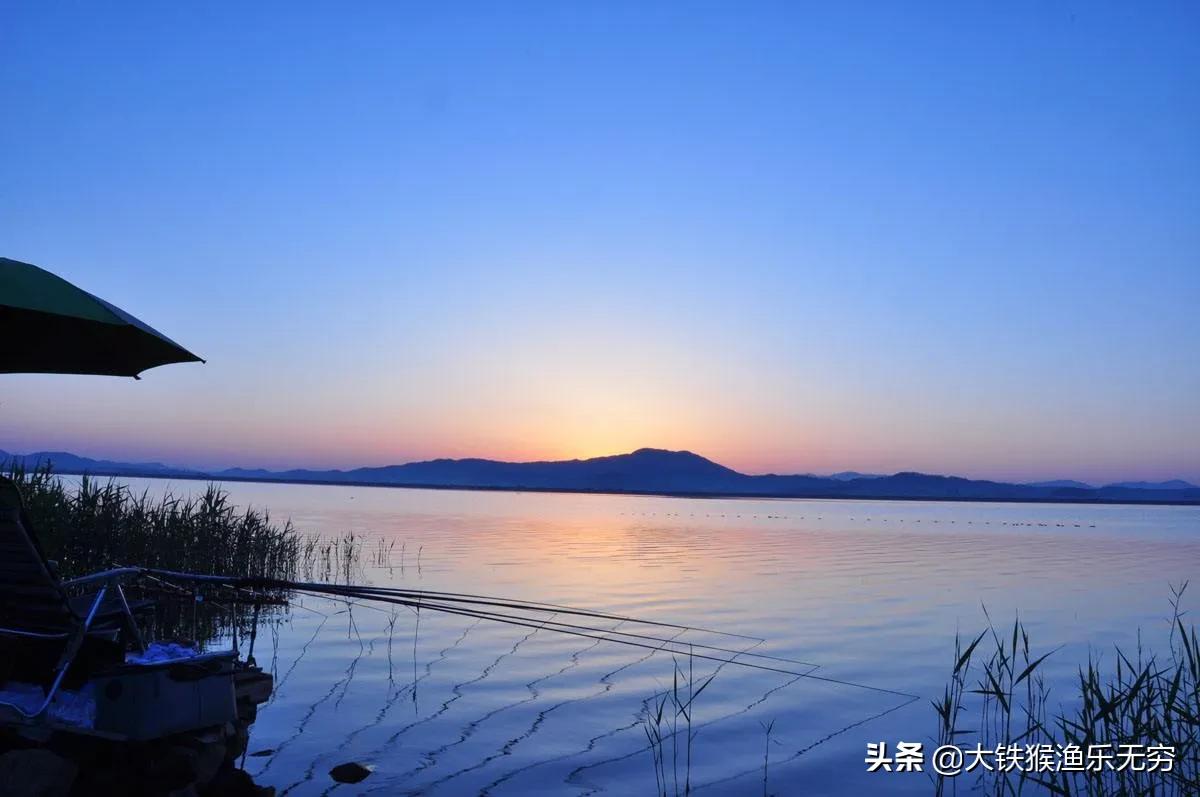 小杂鱼闹窝一招搞定,对付小杂鱼闹窝的绝招