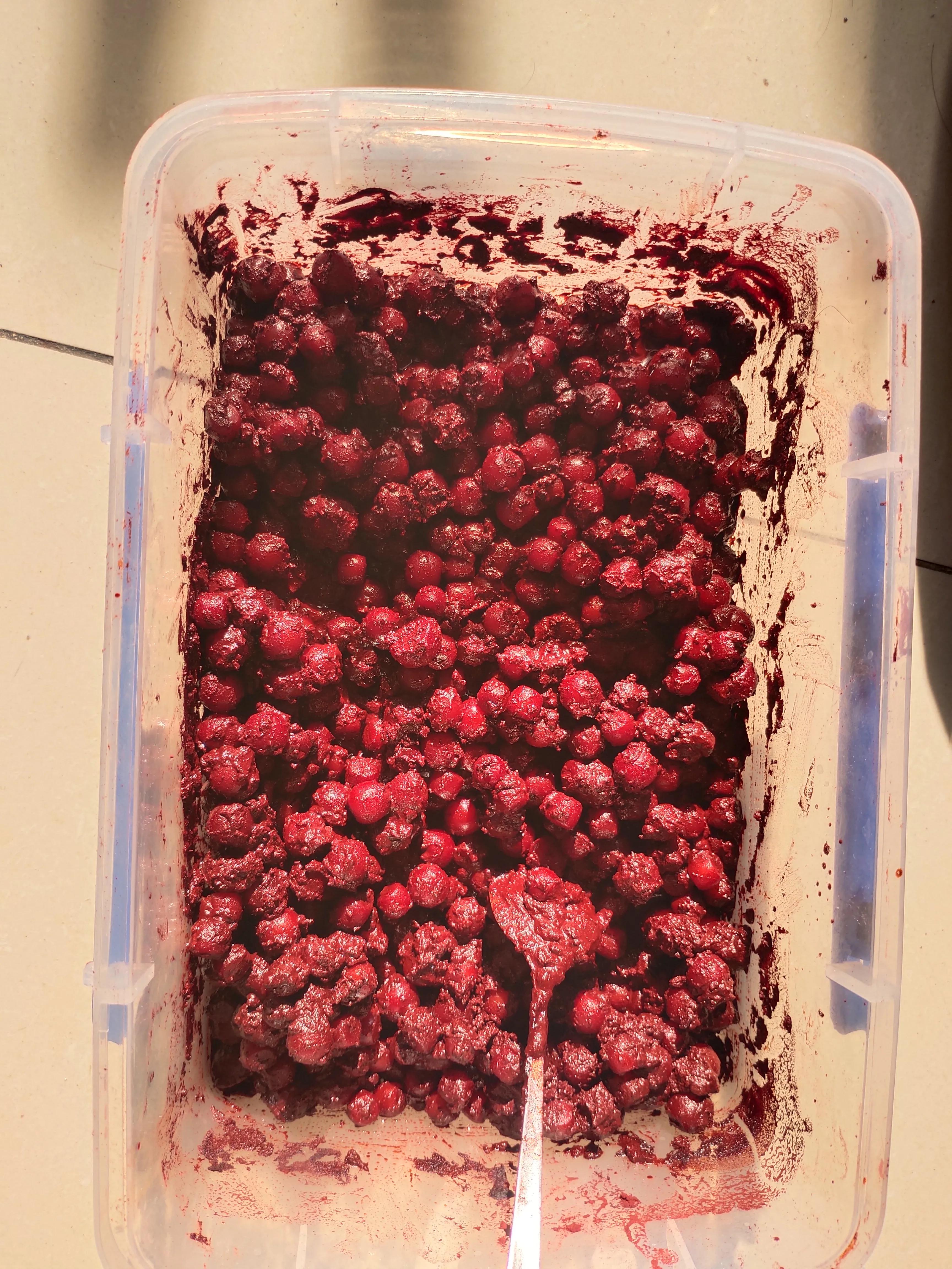 绿色菩提根是染色的吗,菩提根简单玩法