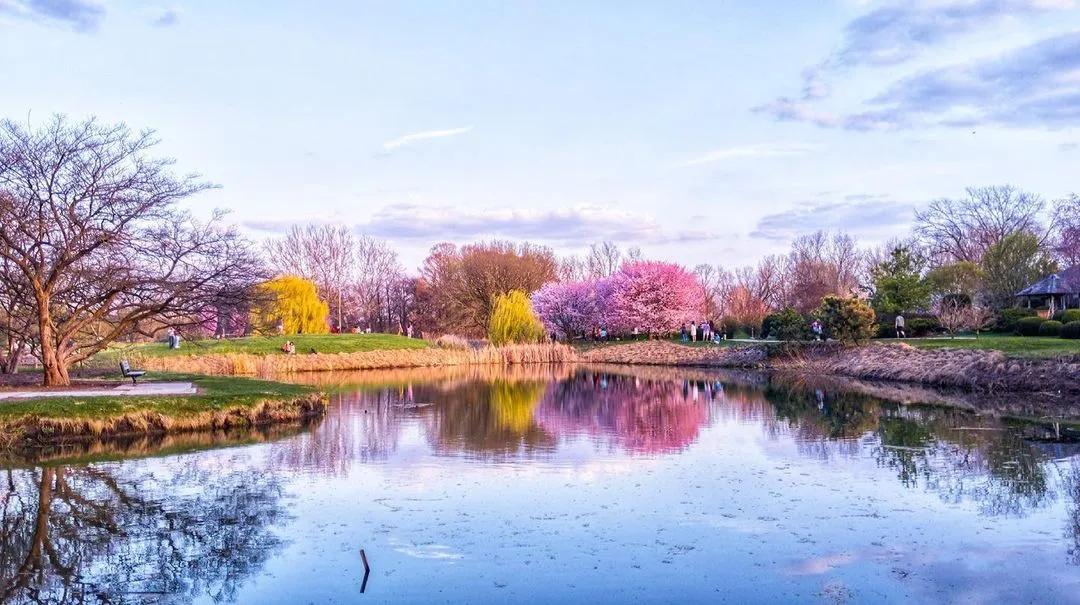 综排不高，但专业牛！中国学生最爱的玉米地神校，不该被低估