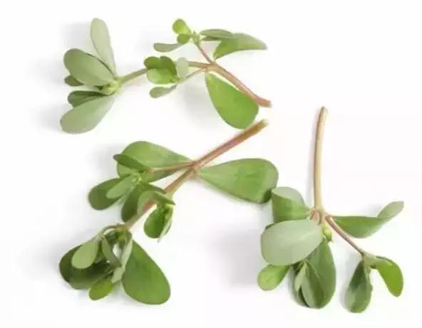 脸皮厚得像城墙的人素质怎么样,脸皮必须比城墙要厚