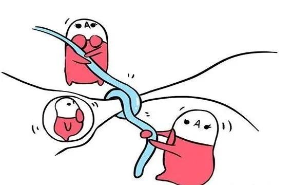 夫妻谁去结扎最好,夫妻两人谁结扎好一点