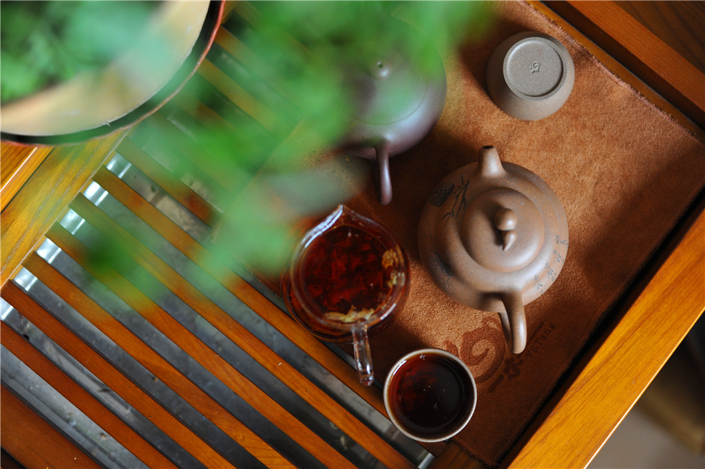 藏一片纯净多一份健康：尼雅昆山雪菊体验