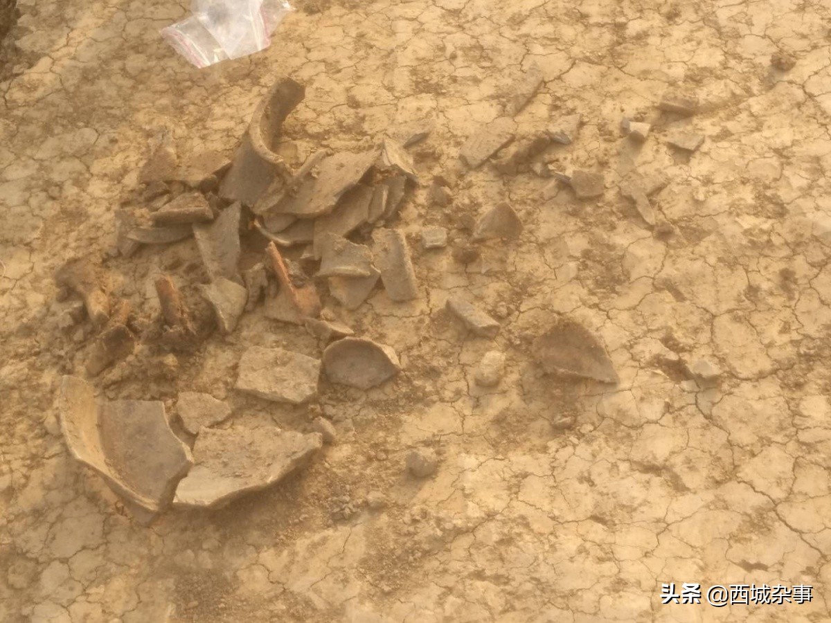 新野县商周遗址,新野古代文化遗址大全