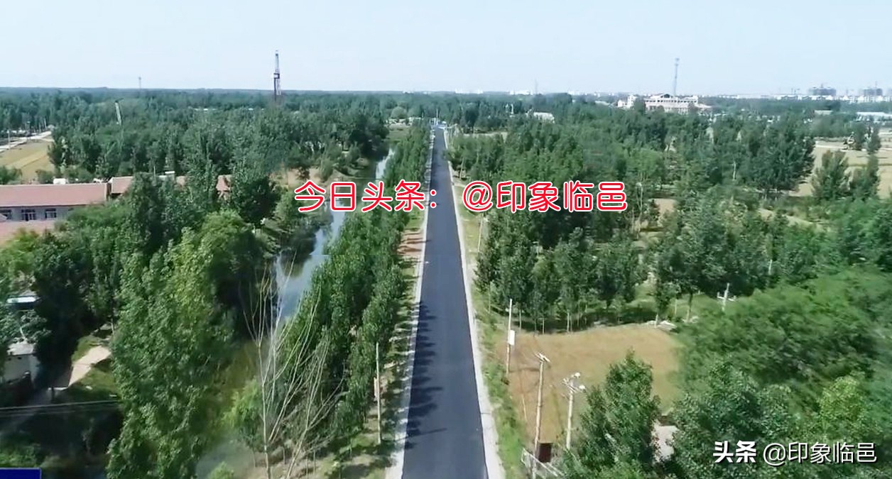 我叫临邑,这是我的新简历