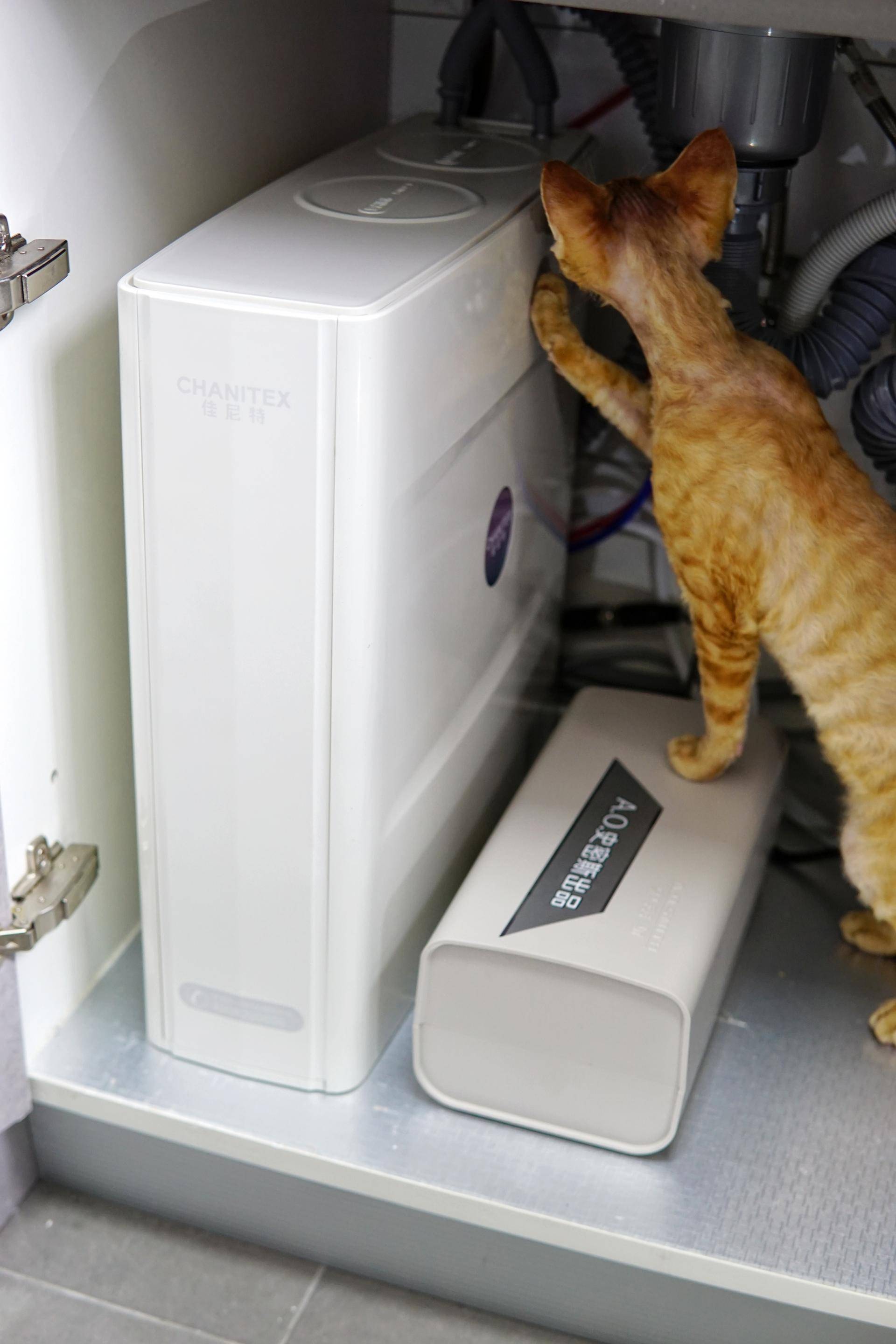 房价那么贵一点也不能浪费,台面净热一体净水机测评