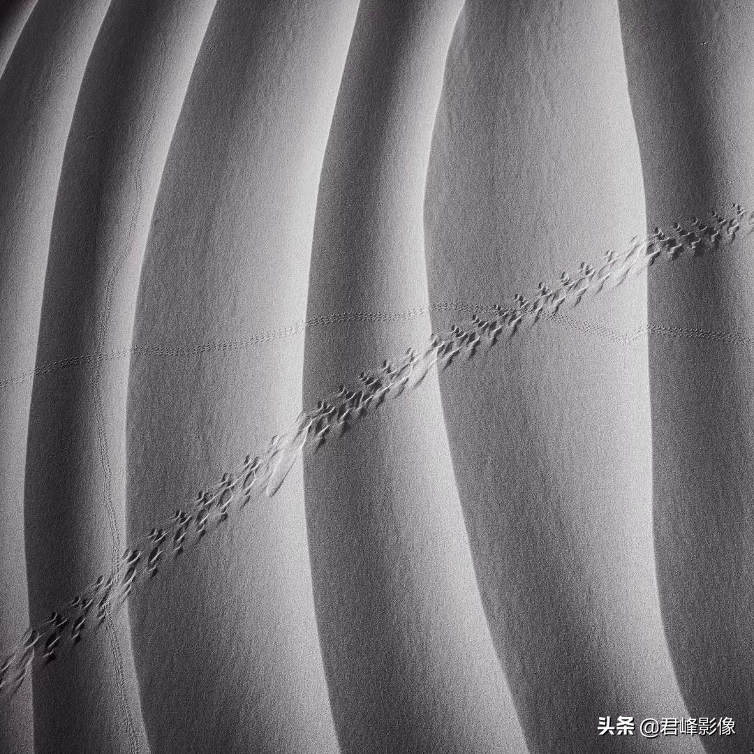 哈苏摄影师获奖摄影作品选,哈苏相机摄影师的地位