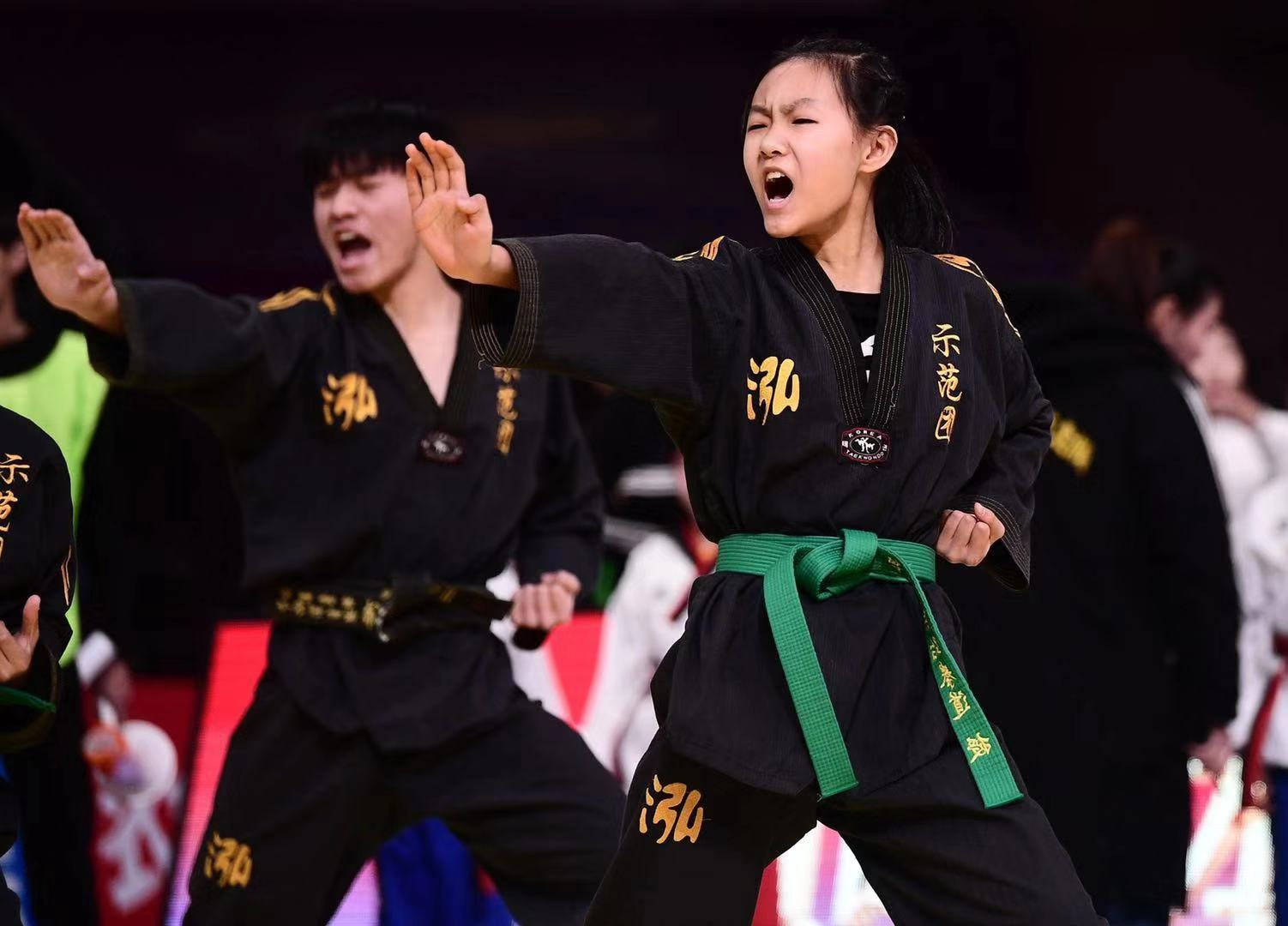 沈阳正宗跆拳道,全国各地跆拳道