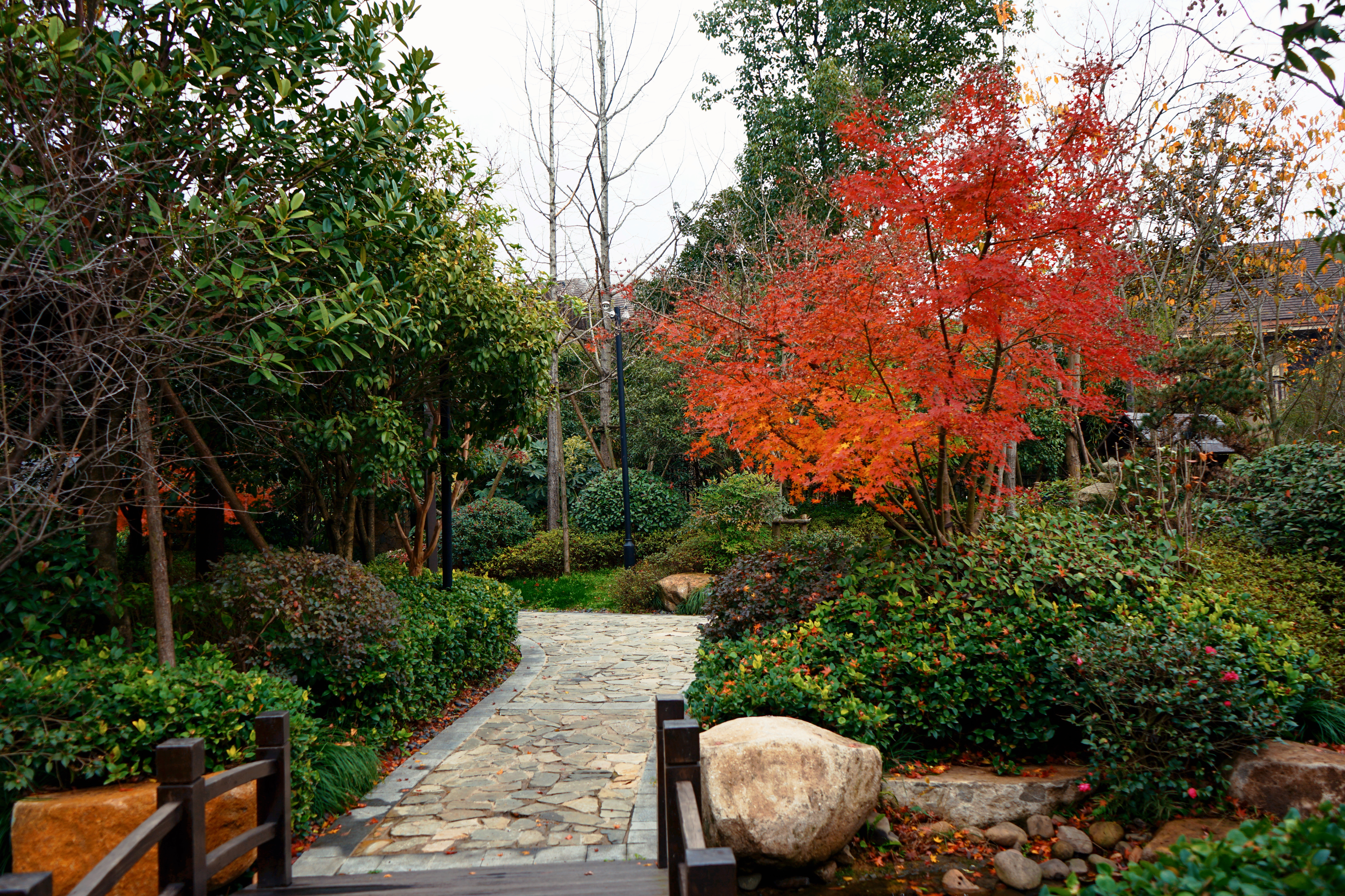 良渚君澜双人温泉,冬日暖阳泡温泉