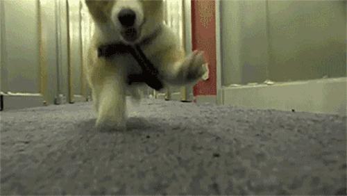 拯救不开心之类电影推荐,十部让人内心平静的电影