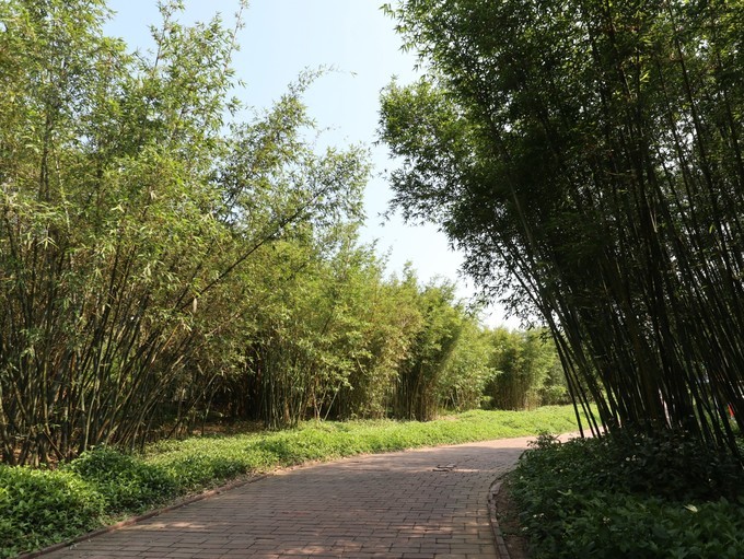 火山岛旅游攻略自由行包车,火山岛三天两晚游