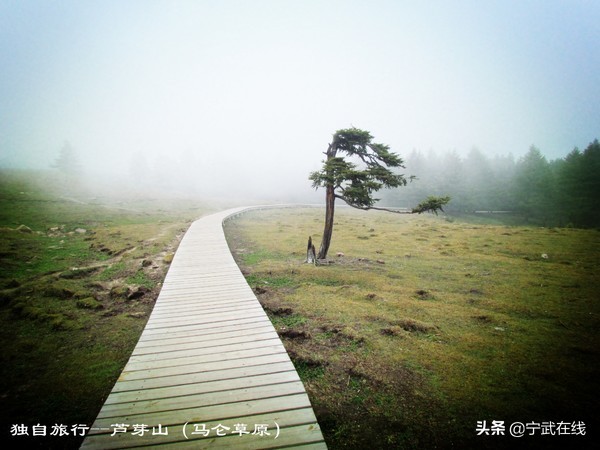 宁武芦芽山悬崖栈道,太原出发芦芽山马仑草原自驾路线
