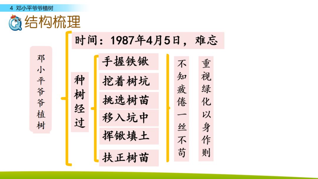 部编版二年级下册语文第4课《*小平邓**爷爷植树》知识点+图文讲解