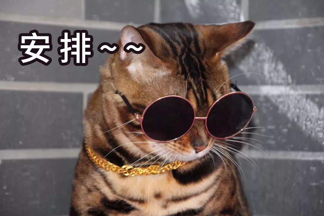 叶檀财经投资价值排行,叶檀财经推荐的股票有哪些