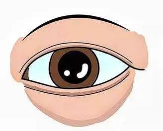 女明星增肥30斤又减回来太瘦,明星都有哪些增肥方法