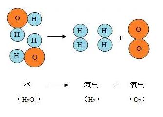 氧气是遏制生命的罪魁祸首,氧气是生命的必需品