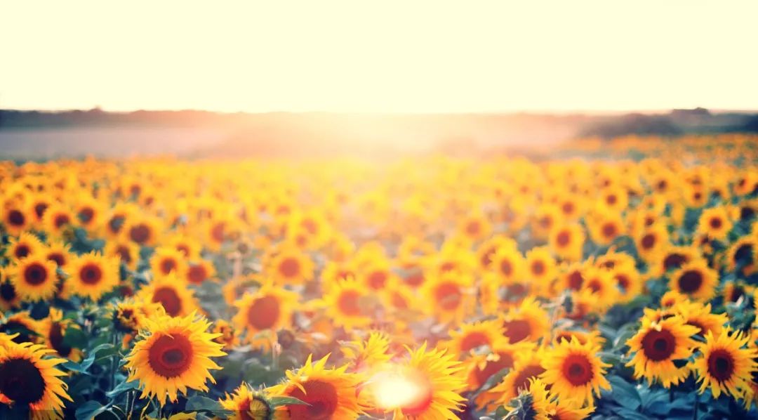 郑州发展的最新规划,郑州改名中州好吗