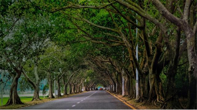 海南三亚5天自由行攻略详细,海南三亚7天旅游攻略最新