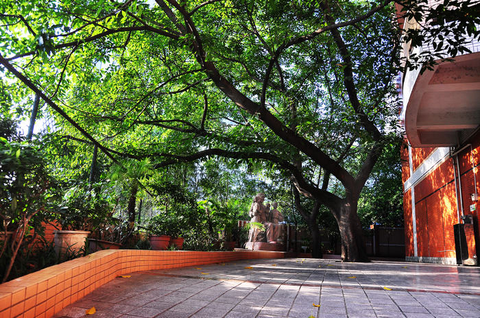 重庆最强中学生,2022重庆最强中学排行