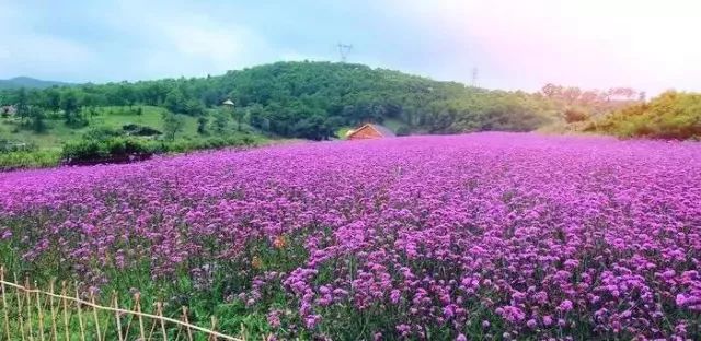 英语必背单词记忆方法,高中必背英语单词3500讲解