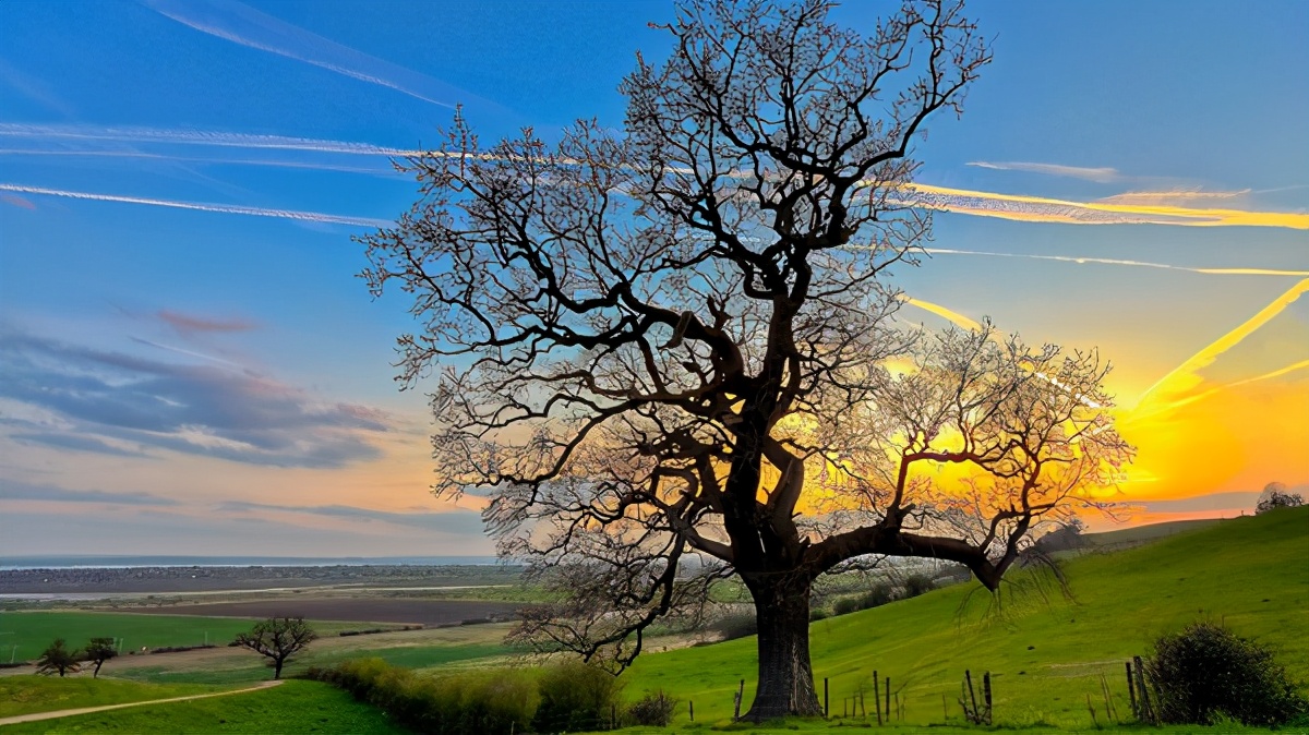 带玉的女宝名,带圆字的女孩名字大全