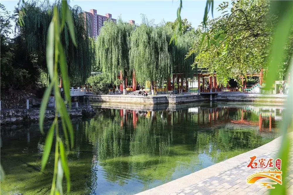 四十年前石家庄街景视频,石家庄40年