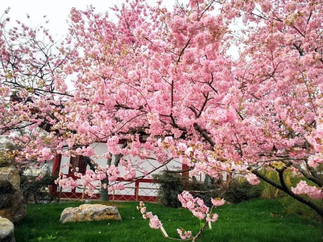 最高礼遇过水门迎山西英雄回家,最高礼遇过水门欢迎英雄回家图