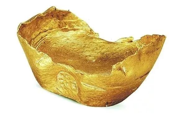 东西越老越值钱？这3种“传家宝”，别再当宝了