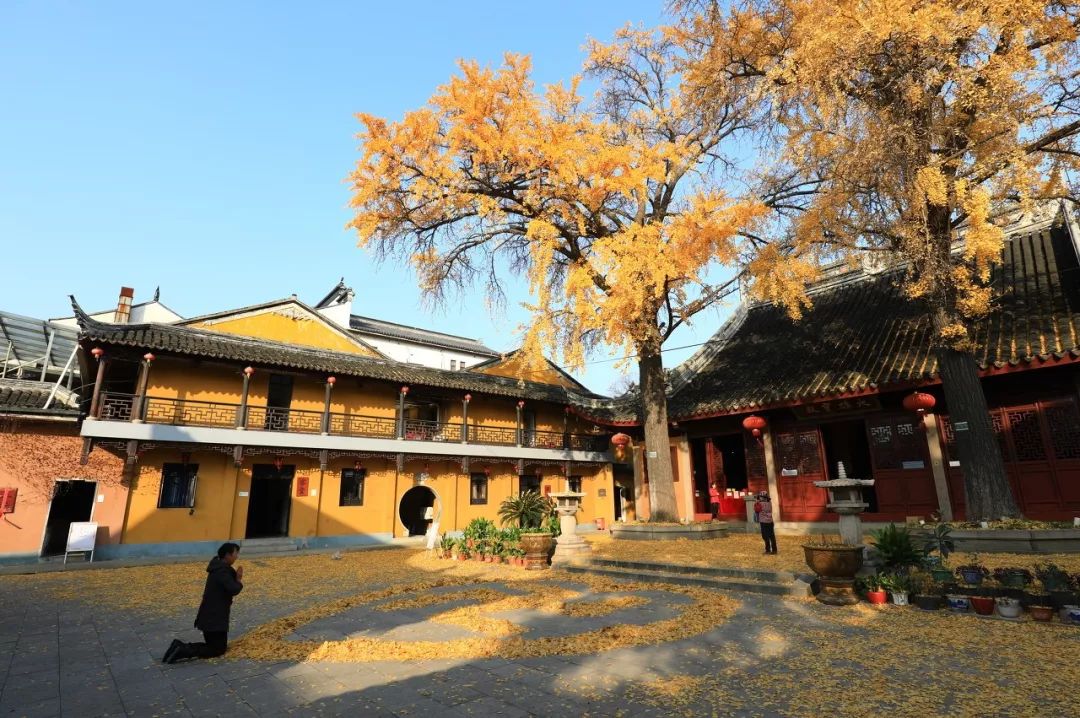 一入秋苏州成姑苏,秋色一入秋苏州就成了姑苏