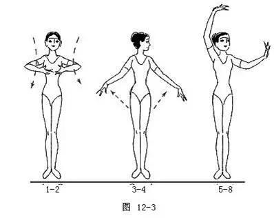 舞蹈基本动作之字步,舞蹈步位基础知识