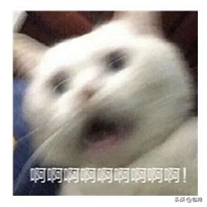 lv包包是否值得购买,lv包包买真的好还是假的好