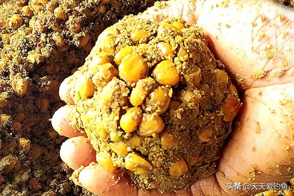 秋冬钓鲫鱼窝料搭配,自制鲫鱼窝料最佳配法