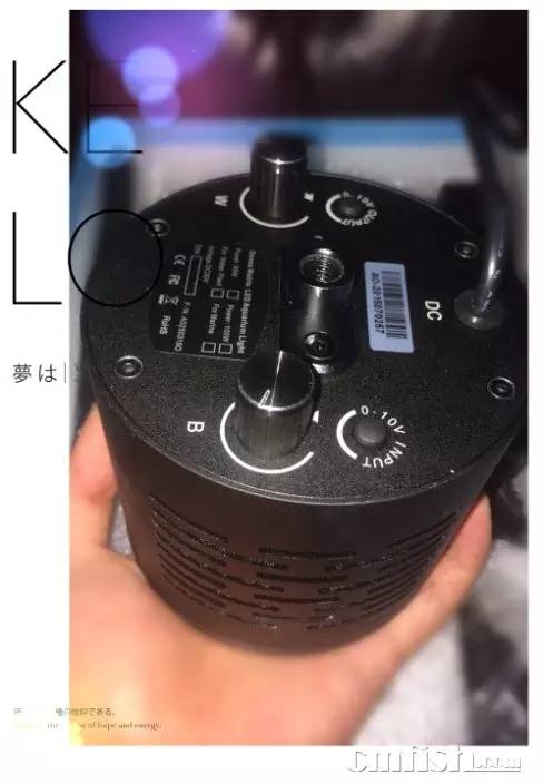 KELO钜彩照明LED水族灯试用活动鱼友评测详情(二)